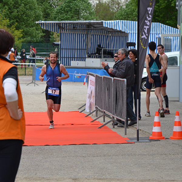 Trivert 2014