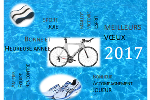 Meilleurs Voeux 2017